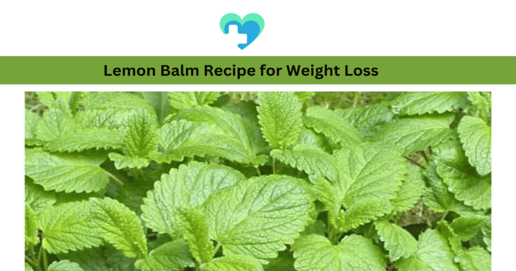 lemon balm recipe for weight loss