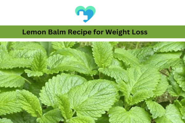lemon balm recipe for weight loss